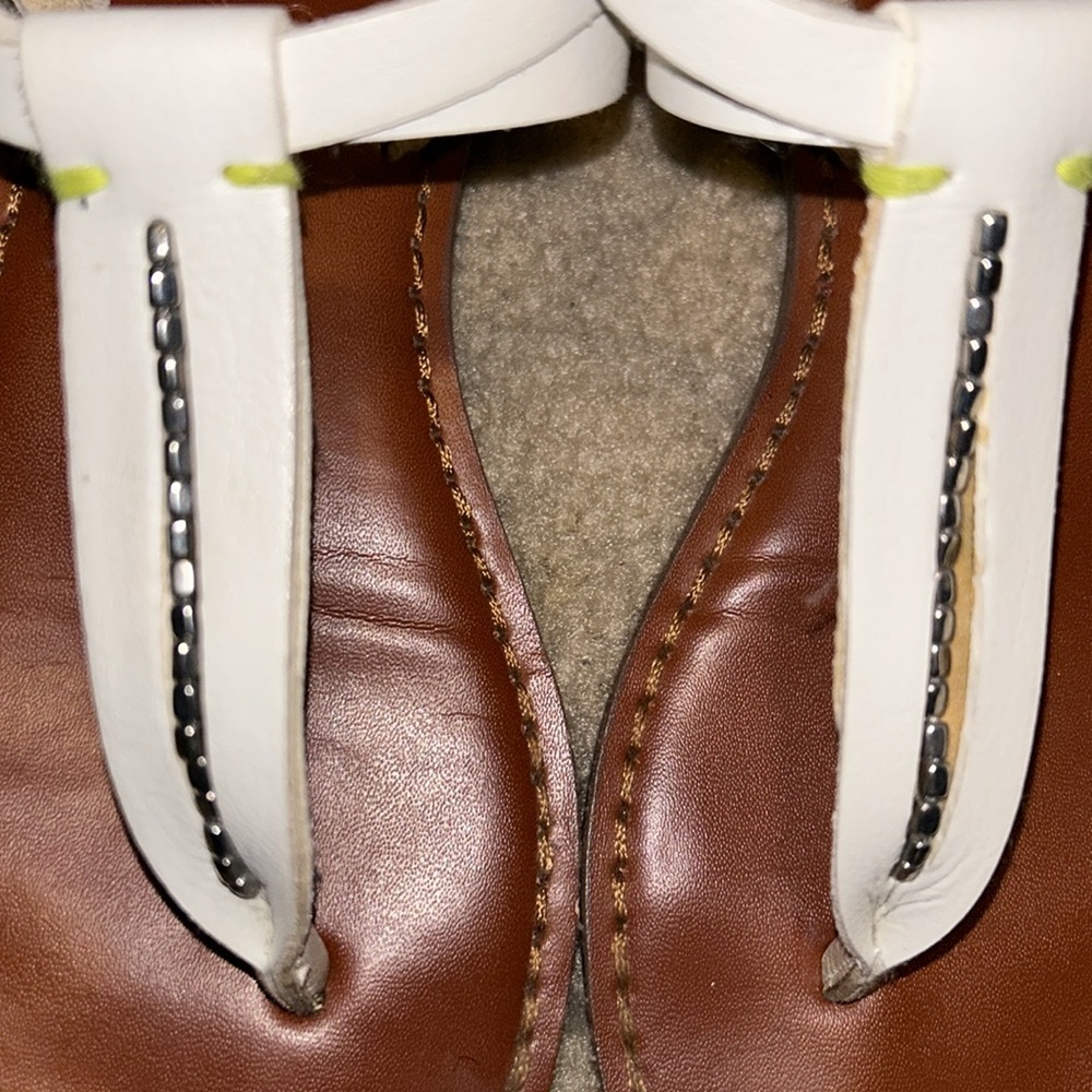 American eagle - Picture 3 of 4